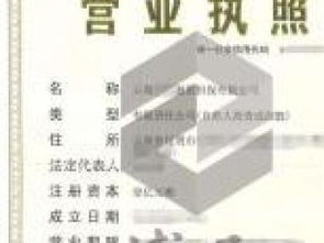 企业注册与法律咨询服务全攻略 深圳执照、区块链执照、商业保理执照及重庆法律商务咨询解析