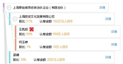 上海泰始商务咨询合伙企业（有限合伙）的业务领域与发展前景
